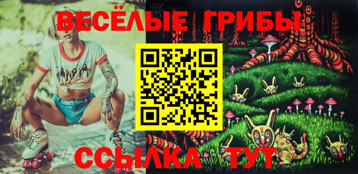 Ижевск  Галлюциногенные грибы мухоморы  Вход с VPN 